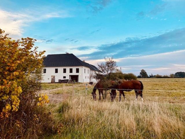 Peskuv Mlyn - * Borovany (Ceske Budejovice)